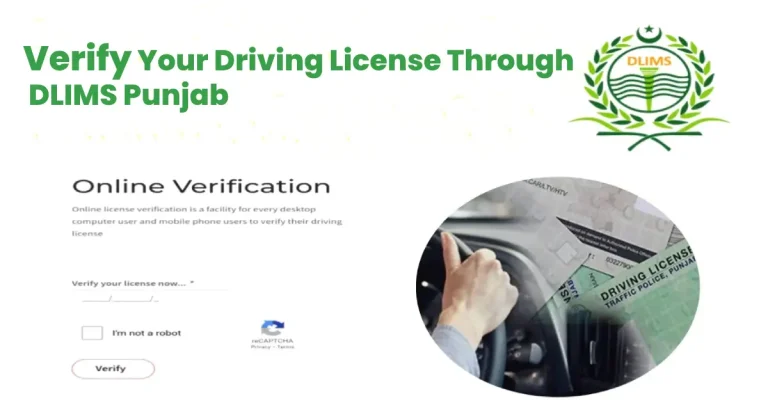 Verify Driving License Through DLIMS Punjab: Step-by-Step Instructions